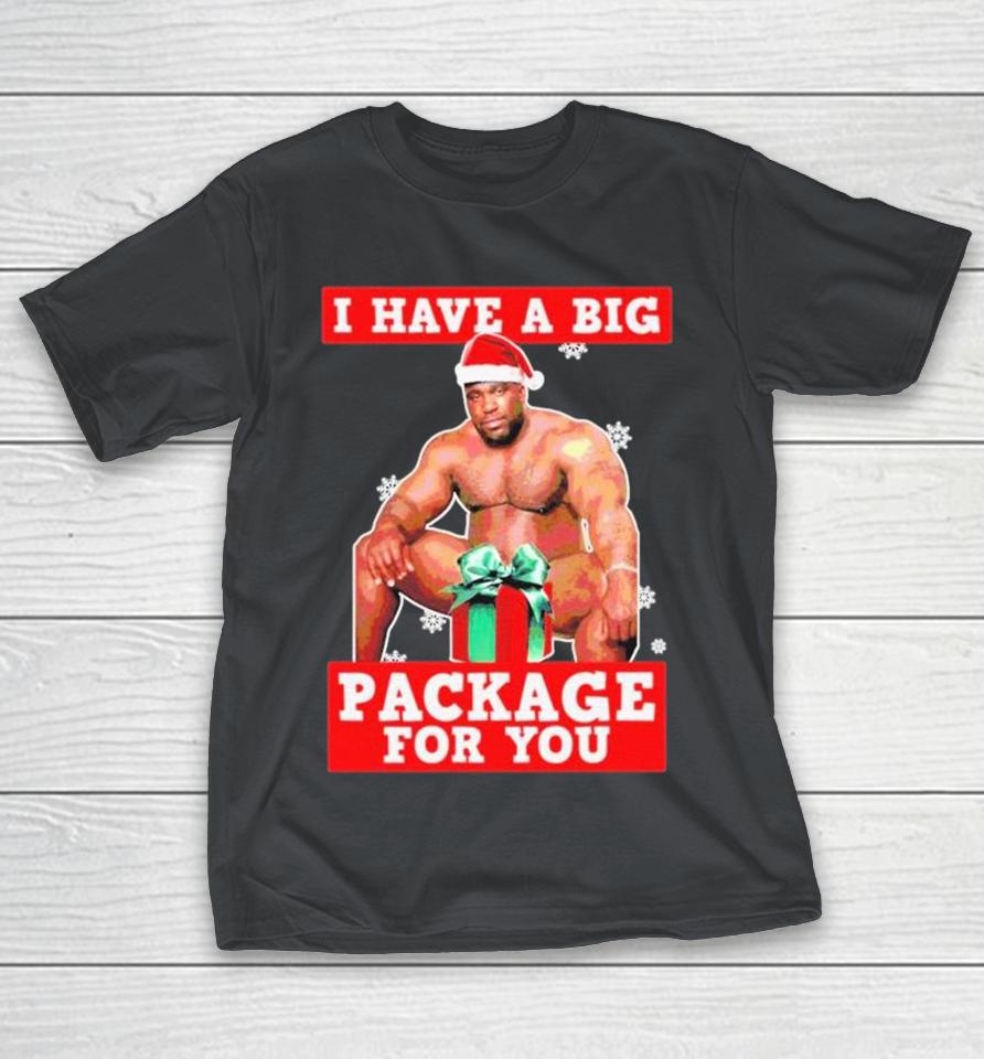 Official I Have A Big Package For You Holiday Christmas Shirts